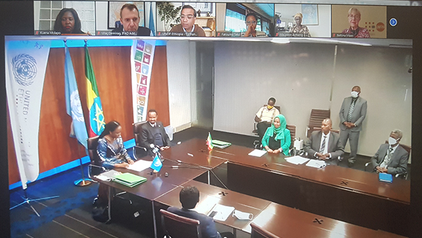 Addis Office