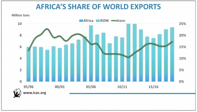 Africa's share of world cotton lint exports