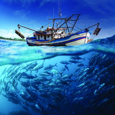 How Sustainable Is The Fishing Industry In India - BW Businessworld