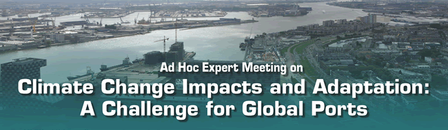 Ad Hoc Expert Meeting