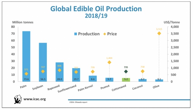 Global edible oil production