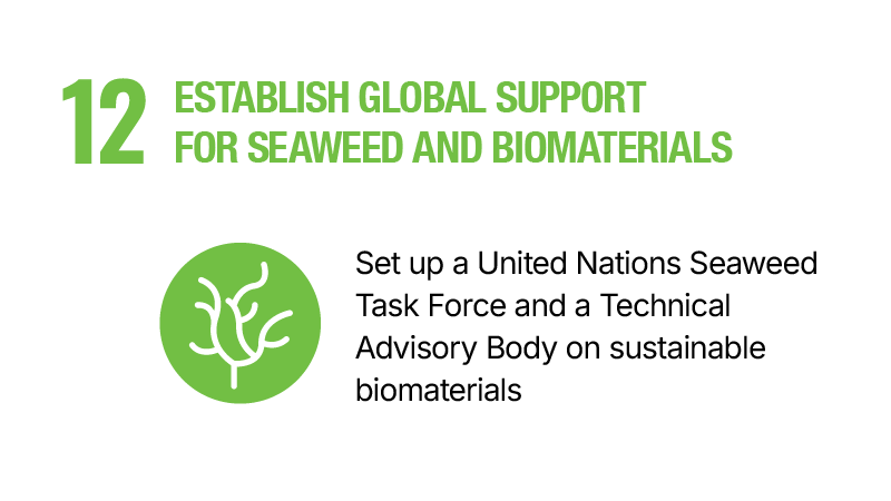 12.	Establish global support for seaweed and biomaterials - Set up a UN Seaweed Task Force and a Technical Advisory Body on sustainable biomaterials.