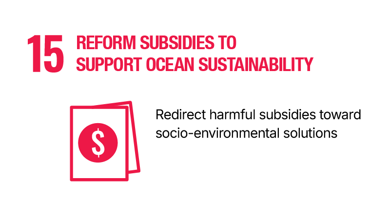 15.	Reform subsidies to support ocean sustainability - Redirect harmful subsidies toward socio-environmental solutions.