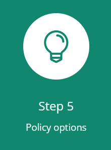 Step 5: Policy Options