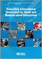 Cover image for Promoting International Investment by Small and Medium-sized Enterprises