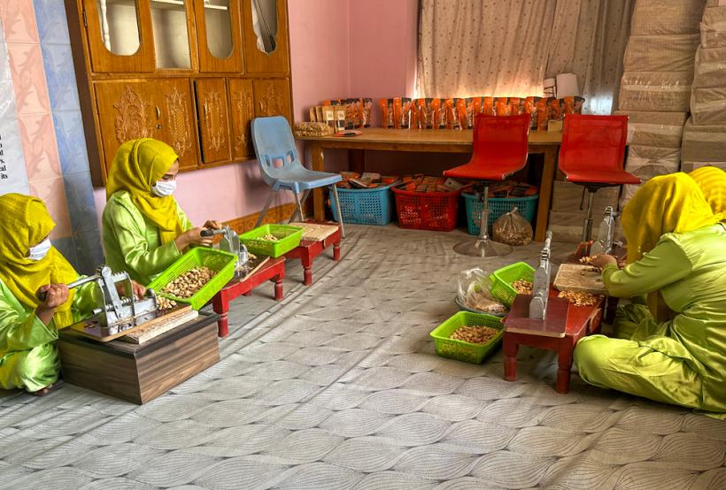 A dry fruit processing business led by a woman entrepreneur in Afghanistan’s Balkh Province.