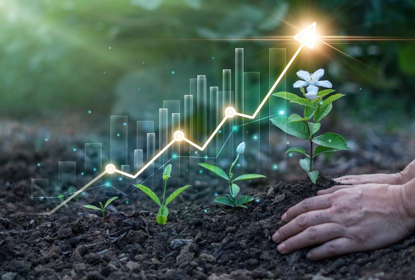 Sixth meeting of the informal Working Group on trade and biodiversity statistics 