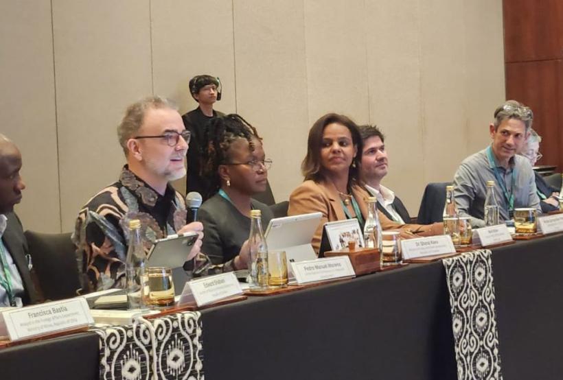 DSG Moreno speaks about critical minerals at event in Indonesia.