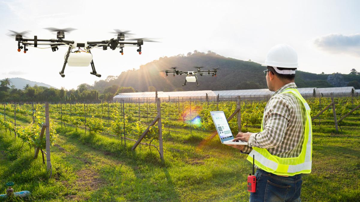 Regional training workshop for advancing satellite crop monitoring to enhance agricultural resilience using the CropWatch cloud system in Latin America and the Caribbean