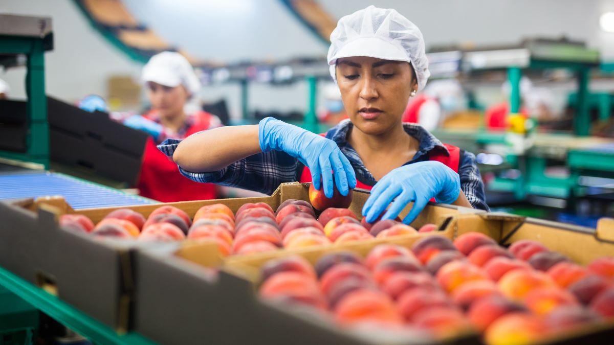 Cover image for Alertes d’ONU commerce et développement : Les pays pauvres et vulnérables risquent d'être oubliés dans l'escalade des tensions commerciales
