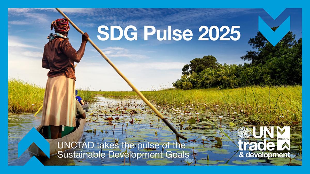 Cover image for El SDG Pulse 2025