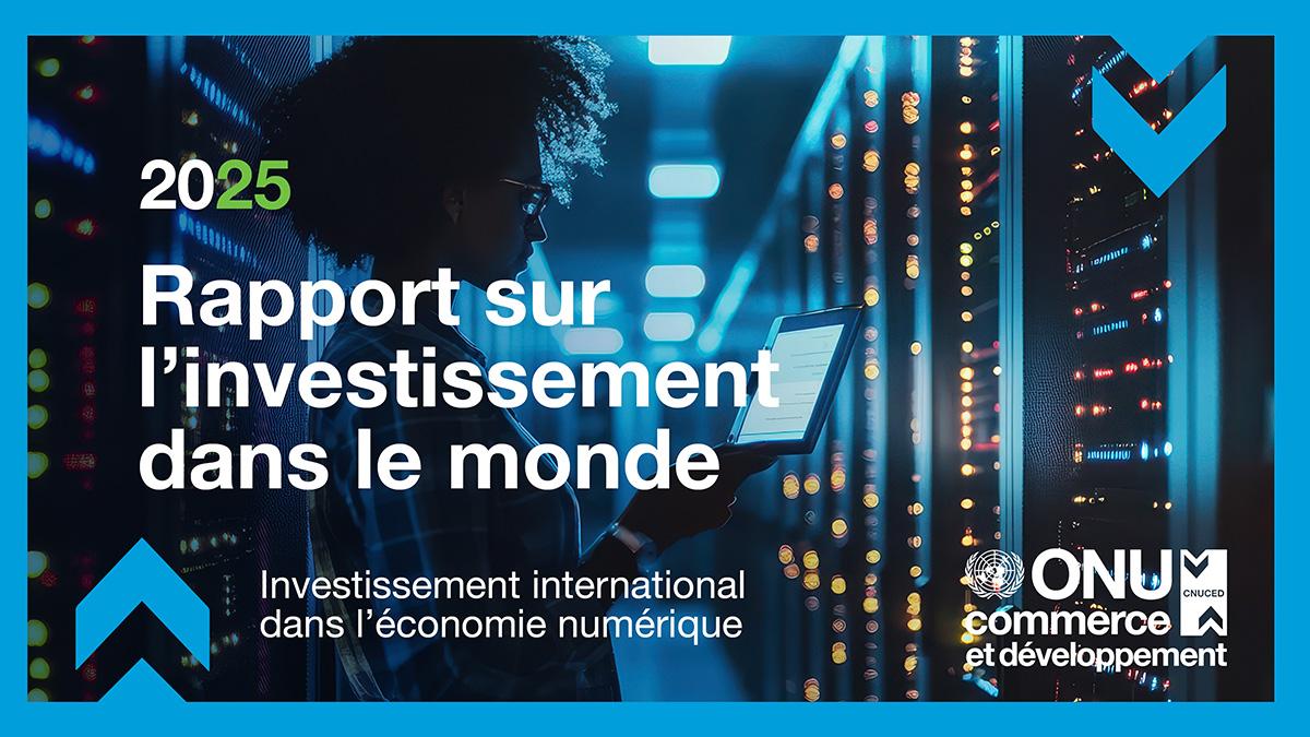World Investment Report 2025