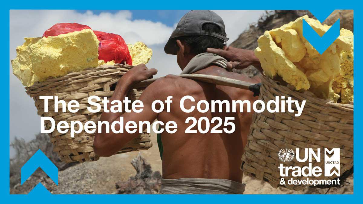 Cover image for The State of Commodity Dependence 2025
