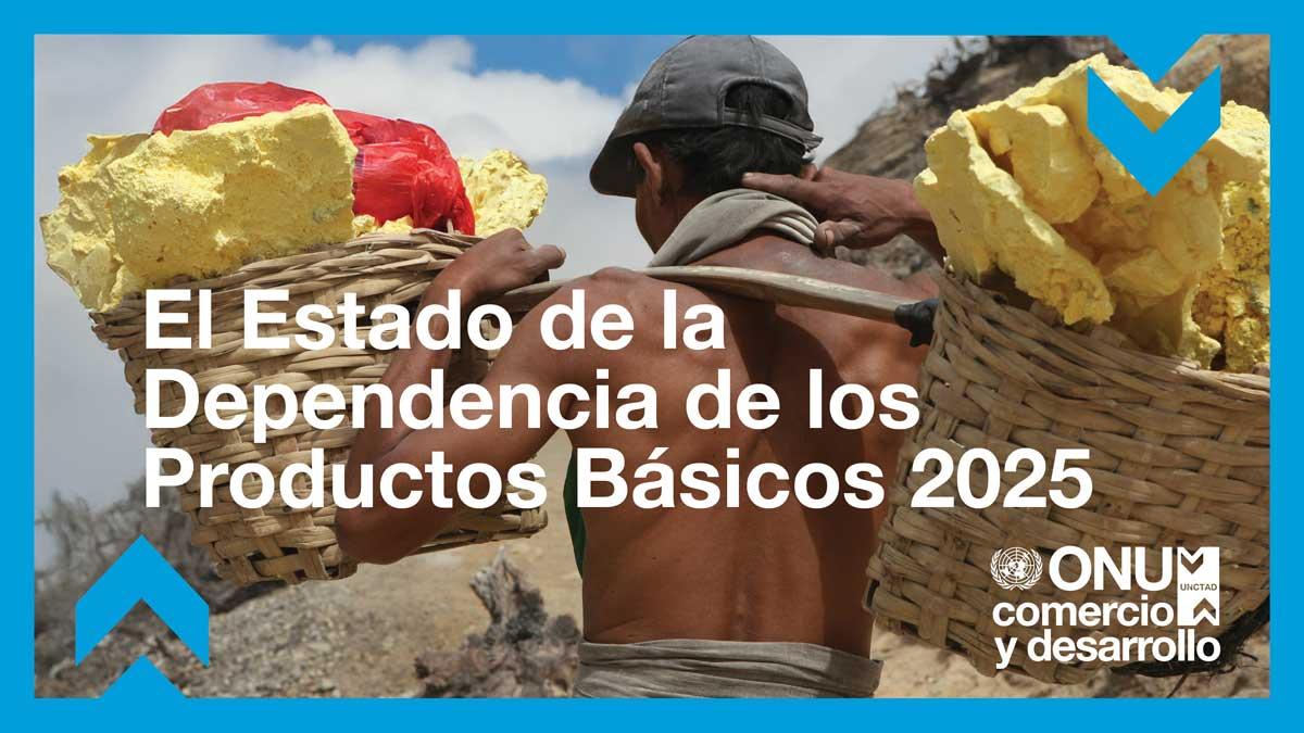 Cover image for El Estado de la Dependencia de los Productos Básicos 2025