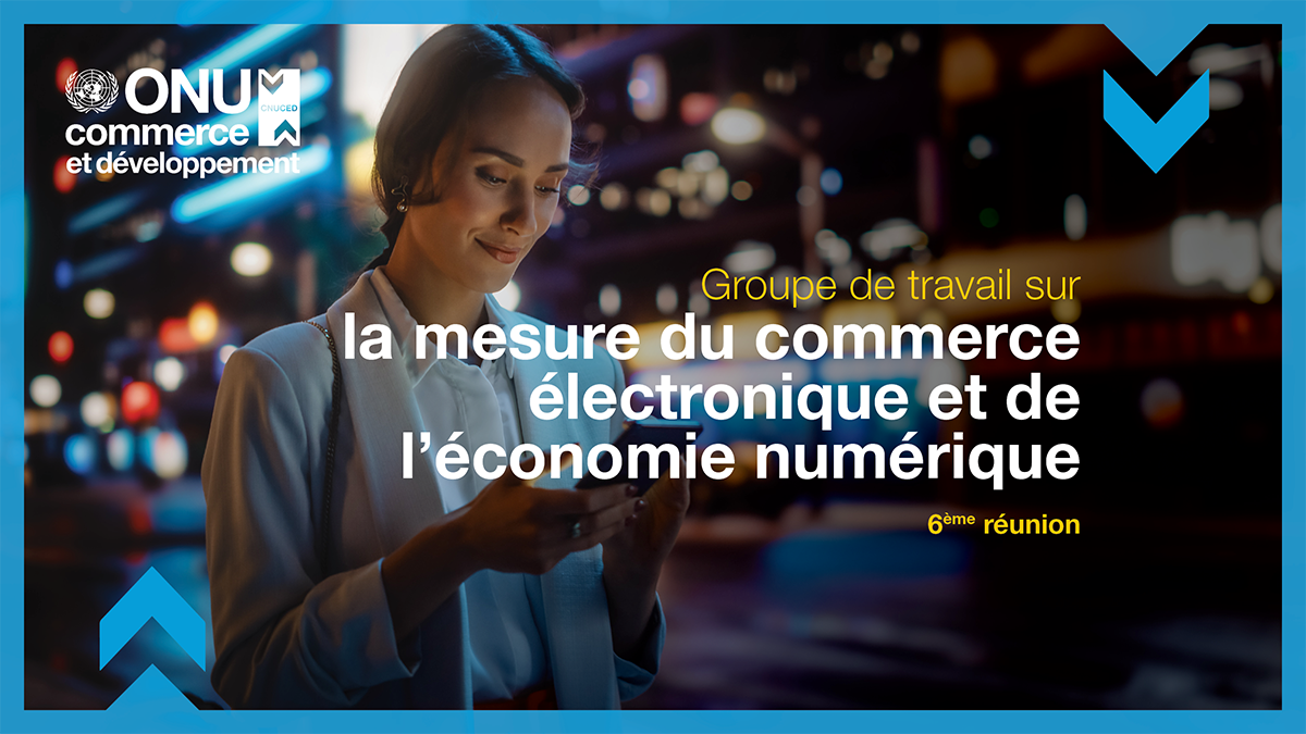 Working group on measuring e-commerce and the digital economy, 6th meeting