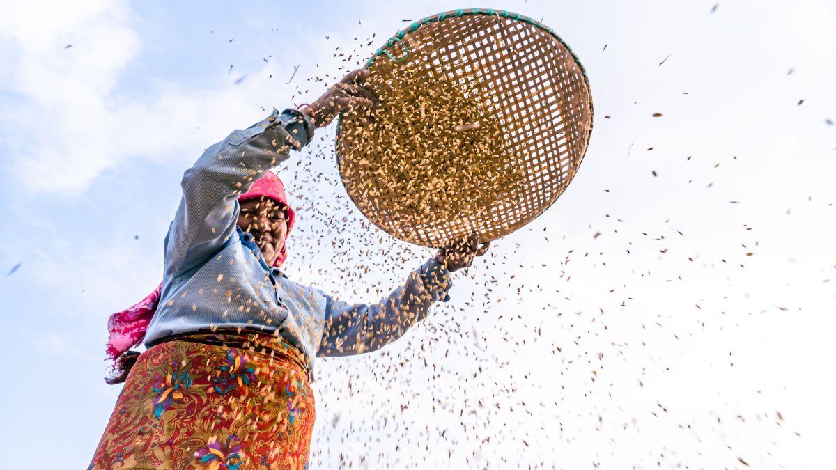 A small farmer in Nepal
