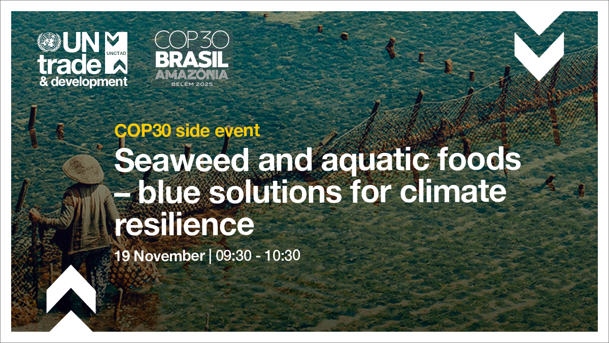 UNCTAD COP30 side event on seaweed promotional card