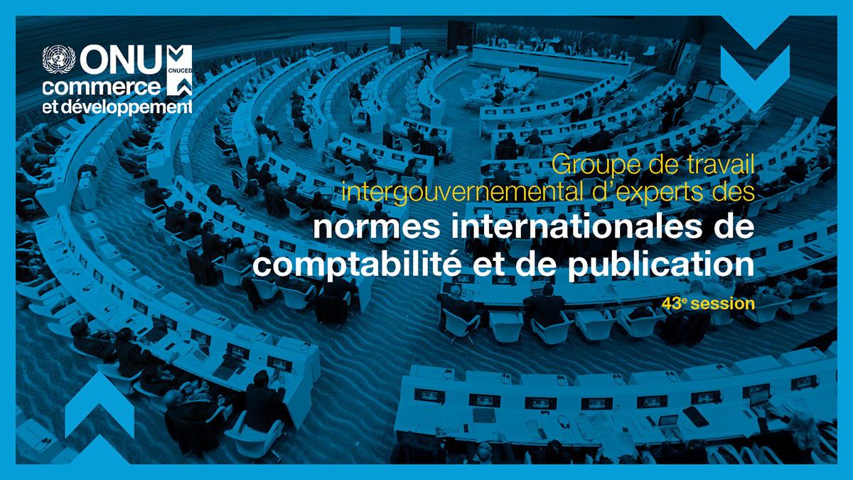 Intergovernmental working group of experts on international standards of accounting and reporting, 43rd session