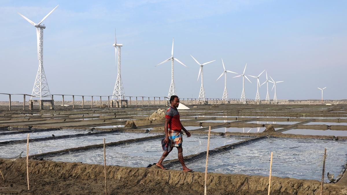 A wind farm in Kutubdia, Bangladesh.
