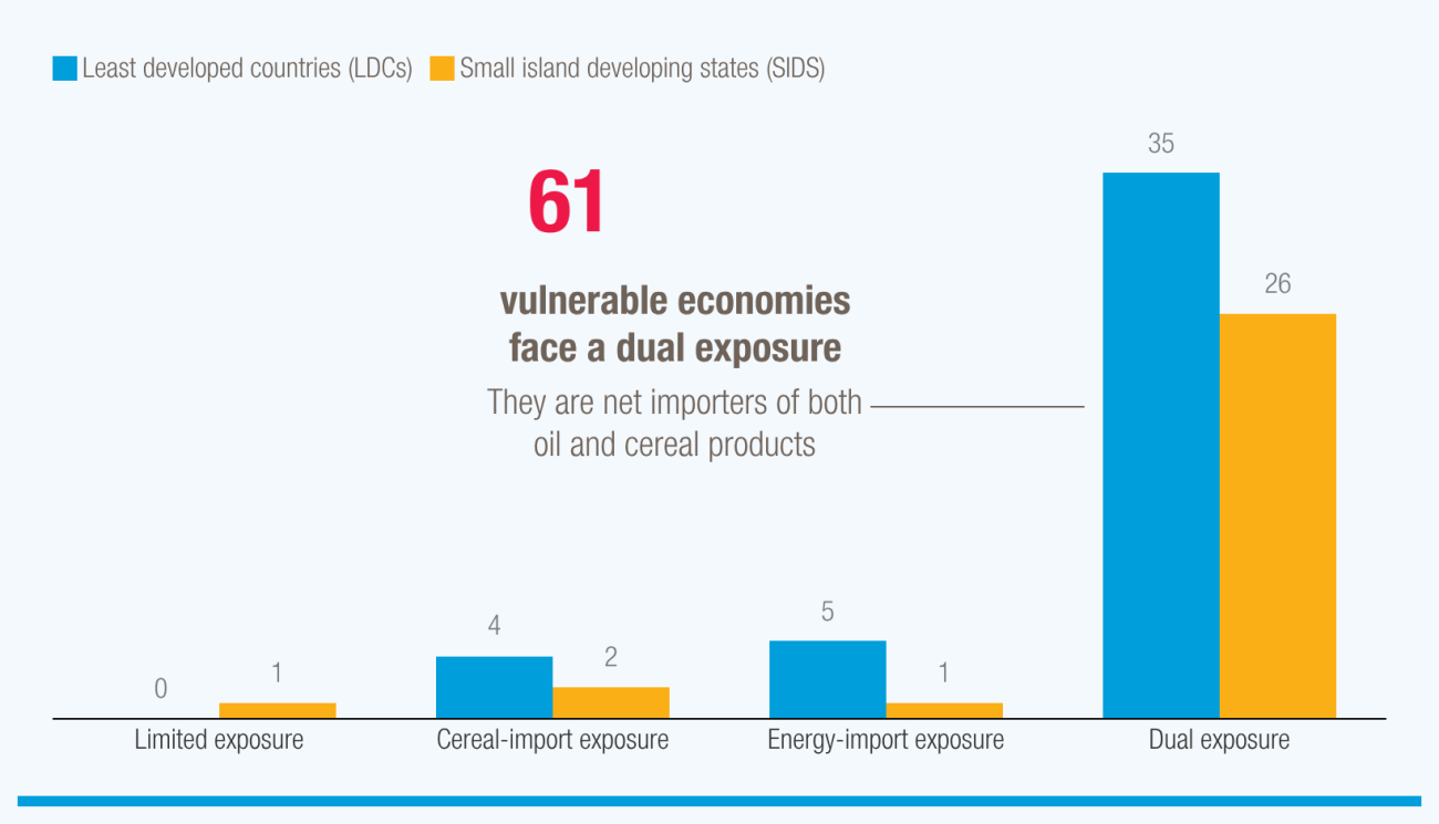Bar chart showing Must vulnerable economies are exposed to oil and food price shocks
