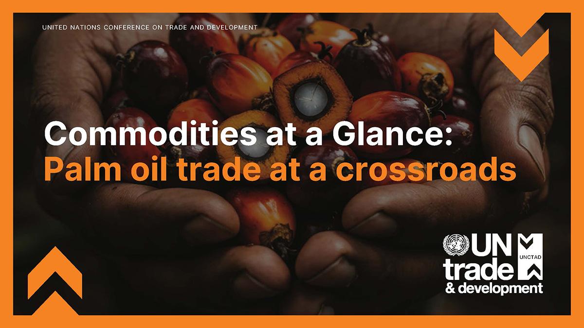 Commodities at a Glance: Palm oil trade at a crossroads