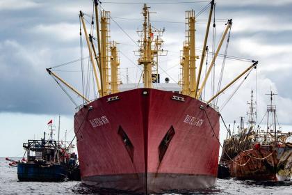 Too large to be missed: how fleet size and harmful subsidies undermine fish stocks sustainability
