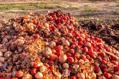 Stop food waste to fight hunger and protect the planet