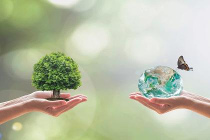 CBD COP15 side event - Nature-positive trade for sustainable development 2030: how trade-related policies and measures can support the delivery of the GBF targets?