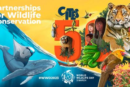 Geneva World Wildlife Day celebration: 50 years of partnerships for wildlife conservation and sustainability