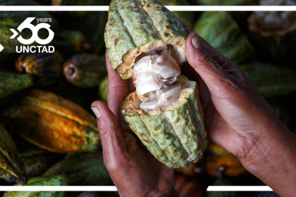 The International Cocoa Agreement: Enhancing cooperation and dialogue along global value chains