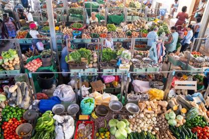 Fairer and more competitive food markets are key to ending global hunger