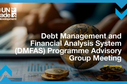 14th meeting of the Debt Management and Financial Analysis System Advisory Group