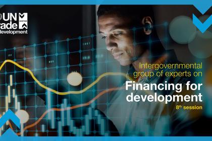 IGE on Financing for Development, eighth session