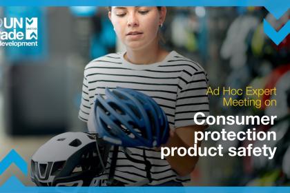 Ad hoc Expert Meeting on Consumer Product Safety