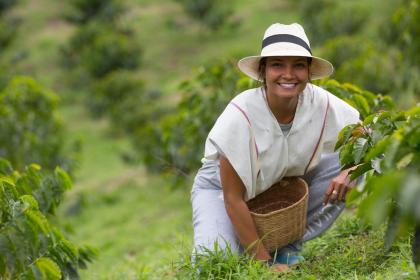 Trade takes centre stage at UN biodiversity conference