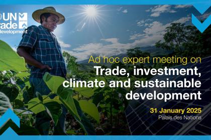 Ad hoc expert meeting on trade, investment, climate and sustainable development