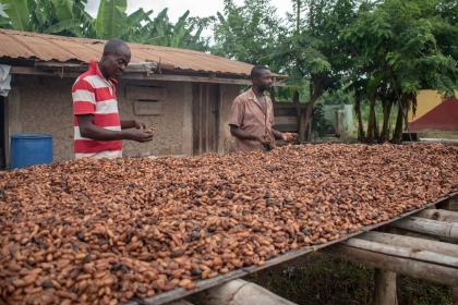 Les pays petits et vulnérables devraient être exclus des droits de douane réciproques selon ONU commerce et développement