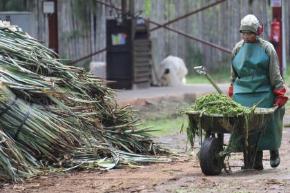 How cleaner production bolsters economic resilience in developing countries