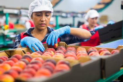 From design to delivery: Why institutional coordination is now the central challenge of industrial policy in Latin America