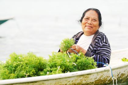 Side event at the HLPF 2025: Supporting seaweeds and their myriad contributions to advancing sustainable, inclusive, science- and evidence-based solutions for the 2030 Agenda and beyond