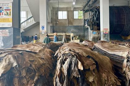 Innovation beyond high-tech: Traceability for resilience and fair trade in the Global South