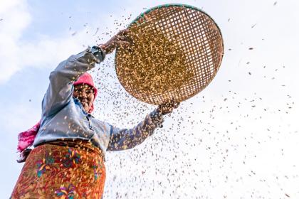 Vulnerable economies urge stronger global support to tackle mounting shocks