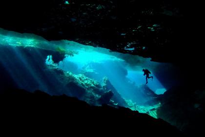 Ocean services lead trade, opening new opportunities for developing economies