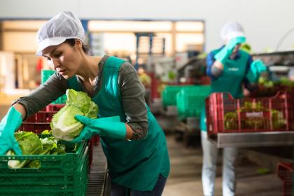 Las interrupciones en el Estrecho de Ormuz podrían afectar más a las empresas que generan el 70% del empleo mundial