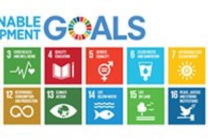 Achieving the Sustainable Development Goals will need healthy competition and consumer protection too 