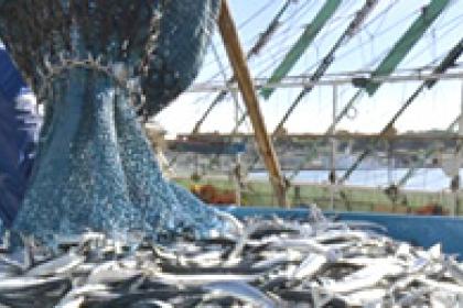 Time, ambition of the essence in ending harmful fisheries subsidies