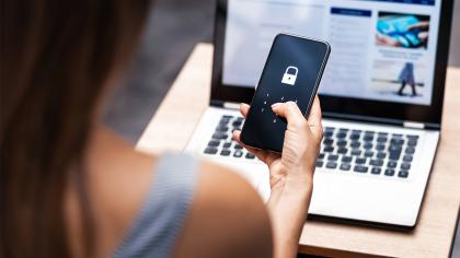 e-commerce, Online shopper