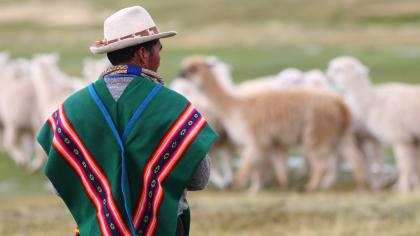 A herdsman in Oruro, Bolivia. 