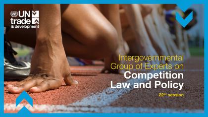 Intergovernmental Group of Experts on Competition Law and Policy, twenty-second session