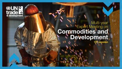 Multi-year Expert Meeting on Commodities and Development, fifteenth session